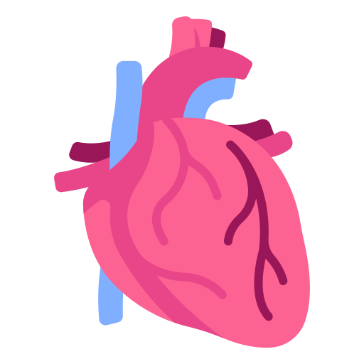 Cardiovascular disease icon